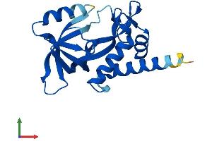 AlphaFold protein structure predicition of Human Recombinant CHAC2 Protein, UniprotID Q8WUX2