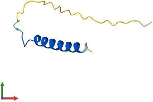 AlphaFold protein structure predicition of Human Recombinant PCP4 Protein, UniprotID P48539