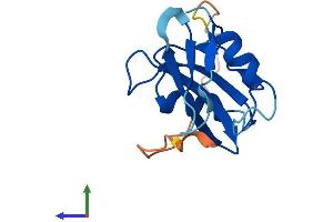 Protein Structure (PS) image for SH2 Domain Containing 1B (SH2D1B) (AA 1-132) protein (His tag) (ABIN7555535)