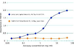 ELISA image for anti-SARS-CoV-2 Spike S1 (RBD) antibody (ABIN6952546)