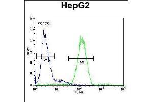 Flow cytometric analysis of HepG2 cells (right histogram) compared to a negative control cell (left histogram). (SERPINH1 antibody  (AA 169-196))