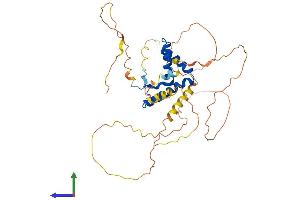 Protein Structure (PS) image for SRY (Sex Determining Region Y)-Box 1 (SOX1) (AA 1-391) protein (His tag) (ABIN7546260)