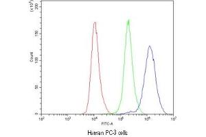 Flow cytometry testing of human PC-3 cells with CASP8 antibody at 1ug/10^6 cells (cells blocked with goat sera) (Caspase 8 antibody  (AA 410-449))