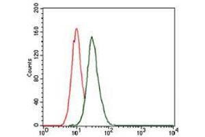 Flow cytometric analysis of HeLa cells using MAP1LC3B mouse mAb (green) and negative control (red). (LC3B antibody)