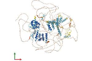 Protein Structure (PS) image for Eukaryotic Translation Initiation Factor 4 Gamma, 1 (EIF4G1) (AA 1-1599) protein (His tag) (ABIN7554181)