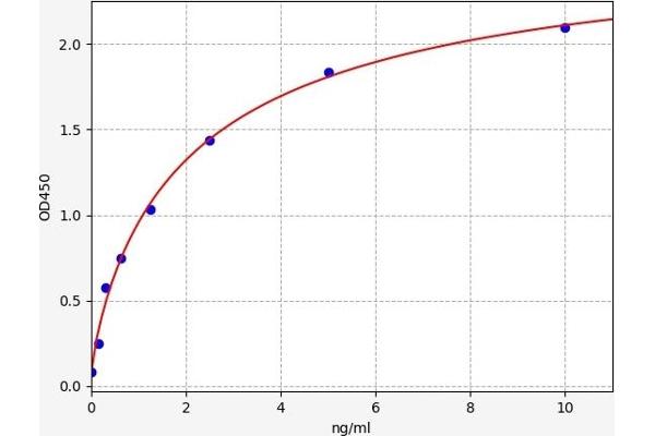 HAS2 ELISA Kit