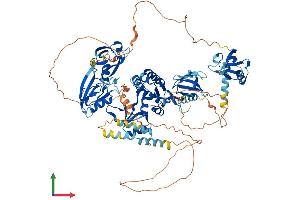 Protein Structure (PS) image for Discs, Large Homolog 1 (DLG1) (AA 1-905) protein (His tag) (ABIN7564314)