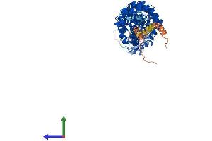 AlphaFold protein structure predicition of Human Recombinant KPNA7 Protein, UniprotID A9QM74