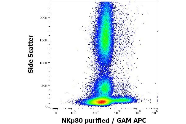 KLRF1 antibody  (Extracellular Domain)