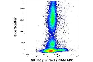 Flow cytometry surface staining pattern of human peripheral whole blood stained using anti-human NKp80 (5D12) purified antibody (concentration in sample 1,7 μg/mL, GAM APC). (KLRF1 antibody  (Extracellular Domain))