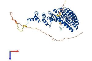 T-Complex-Associated-Testis-Expressed 1 (TCTE1) (AA 1-501) protein (His tag)