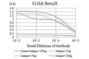 Black line: Control Antigen (100 ng), Purple line: Antigen(10 ng), Blue line: Antigen (50 ng), Red line: Antigen (100 ng), (SYCP3 antibody  (AA 27-128))