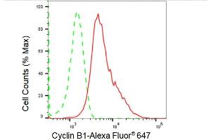 Flow cytometric analysis of Cyclin B1 expression in HepG2 cells using Cyclin B1 antibody (ABIN7798191), 1:2,000).