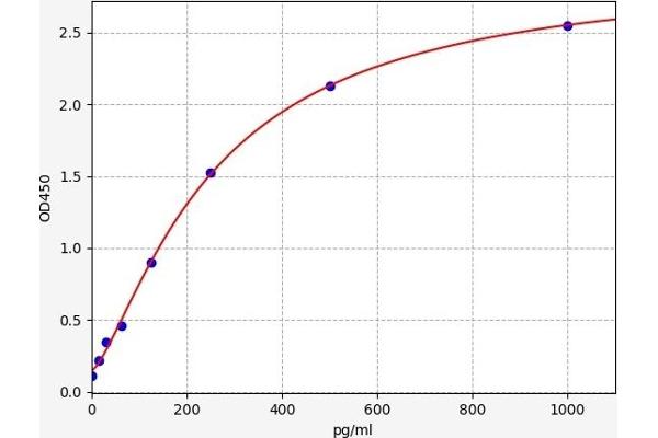 Midkine ELISA Kit