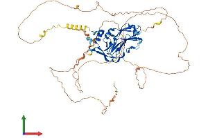 AlphaFold protein structure predicition of Mouse Recombinant Tbx15 Protein, UniprotID O70306 (T-Box 15 Protein (TBX15) (AA 1-602) (His tag))