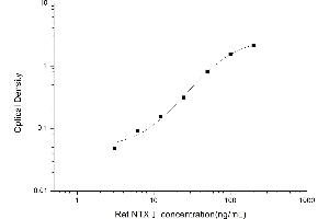 Cross Linked N-Telopeptide of Type I Collagen (NTX-I) ELISA Kit