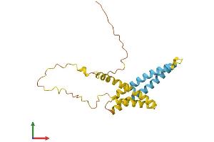 Protein Structure (PS) image for Translocase of Inner Mitochondrial Membrane 23 Homolog (Yeast) (TIMM23) (AA 1-209) protein (His tag) (ABIN7544439)