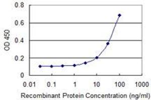 Detection limit for recombinant GST tagged NFKBIB is 1 ng/ml as a capture antibody. (NFKBIB antibody  (AA 56-145))