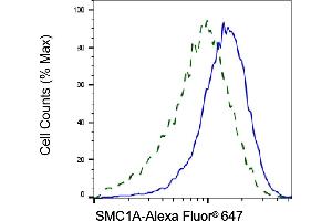 Validation of SMC1A knockdown using flow cytometry.