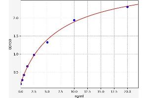 Typical standard curve (EGR2 ELISA Kit)