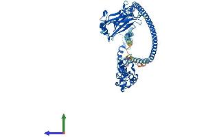 Protein Structure (PS) image for TNF Receptor-Associated Factor 3 (TRAF3) (AA 1-567) protein (His tag) (ABIN7563878)