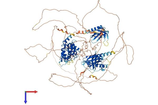 AGAP2 Protein (AA 1-1192) (His tag)