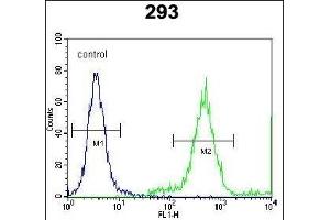 FE Antibody (C-term) (ABIN651998 and ABIN2840489) flow cytometric analysis of 293 cells (right histogram) compared to a negative control cell (left histogram). (FAM26E antibody  (C-Term))