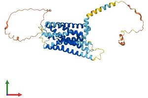 AlphaFold protein structure predicition of Human Recombinant GPR19 Protein, UniprotID Q15760 (GPR19 Protein (AA 1-415) (His tag))