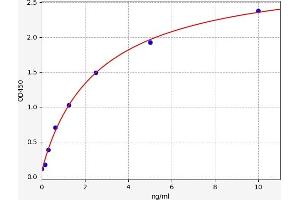 Retinoic Acid Receptor beta ELISA Kit