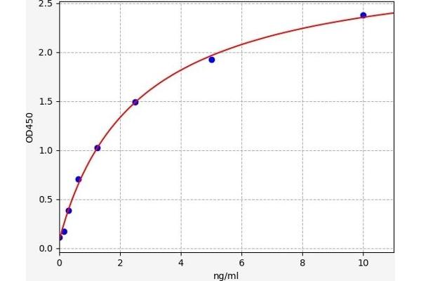 Retinoic Acid Receptor beta ELISA Kit