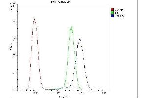 Flow Cytometry analysis of U20S cells using anti-GSTM1 antibody (ABIN5693233). (GSTM1 antibody)