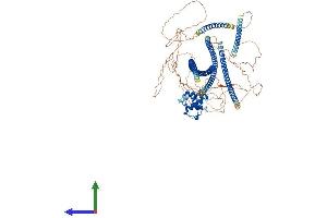 Protein Structure (PS) image for Sperm Antigen with Calponin Homology and Coiled-Coil Domains 1 (SPECC1) (AA 1-1067) protein (His tag) (ABIN7563853)
