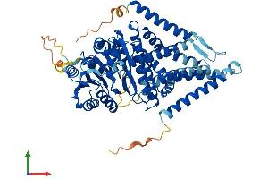 Protein Structure (PS) image for Hyaluronan Synthase 1 (HAS1) (AA 1-583) protein (His tag) (ABIN7557723)