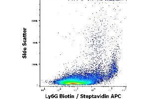 Flow cytometry surface staining pattern of murine peritoneal fluid cell suspension stained using anti-murine Ly6G (RB6-8C5) Biotin antibody (concentration in sample 1,0 μg/mL, Streptavidin APC). (Ly6g antibody  (Biotin))