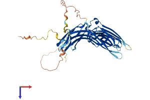 Arrestin Domain Containing 2 (ARRDC2) (AA 1-407) protein (His tag)