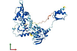 Protein Structure (PS) image for General Transcription Factor IIH, Polypeptide 4, 52kDa (GTF2H4) (AA 1-462) protein (His tag) (ABIN7544212)