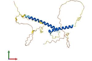 AlphaFold protein structure predicition of Mouse Recombinant Olig1 Protein, UniprotID Q9JKN5