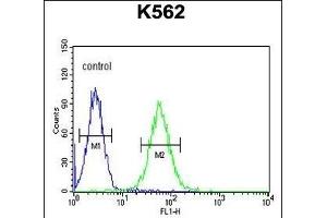 MIN Antibody (N-term) (ABIN654085 and ABIN2843973) flow cytometric analysis of K562 cells (right histogram) compared to a negative control cell (left histogram). (MINPP1 antibody  (N-Term))