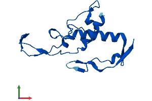 AlphaFold protein structure predicition of Human Recombinant CYP2G1P Protein, UniprotID Q6ZSU1 (CYP2G1 Protein (AA 1-146) (His tag))