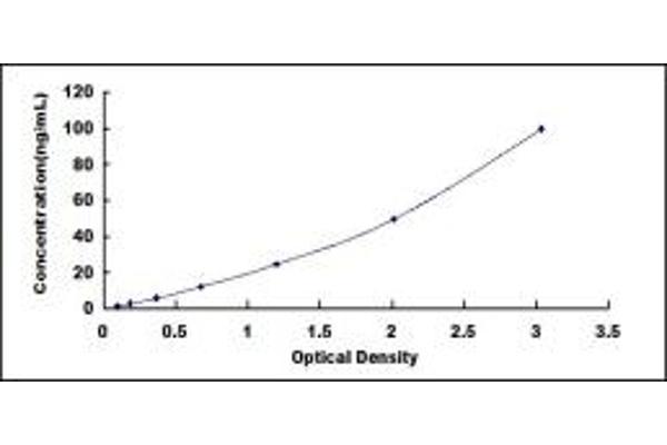 D Amino Acid Oxidase ELISA Kit