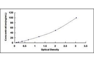 Typical standard curve (D Amino Acid Oxidase ELISA Kit)