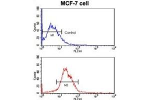 Flow Cytometry (FACS) image for anti-Kruppel-Like Factor 4 (Gut) (KLF4) antibody (ABIN2936746) (KLF4 antibody)
