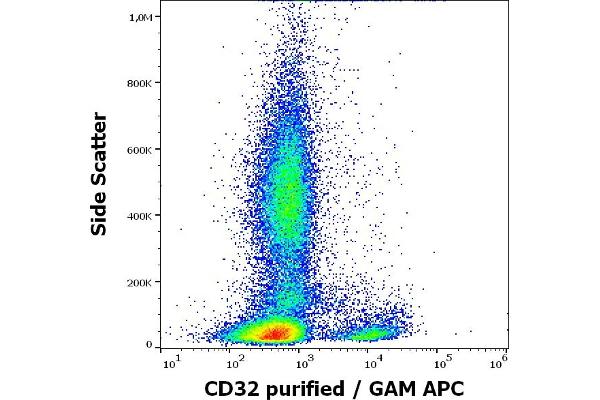 Fc gamma RII (CD32) antibody