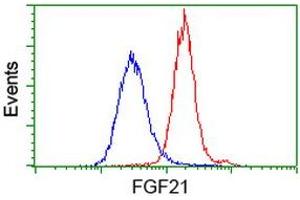 Flow cytometric Analysis of Hela cells, using anti-FGF21 antibody (ABIN2454474), (Red), compared to a nonspecific negative control antibody, (Blue).