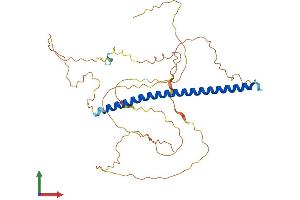 AlphaFold protein structure predicition of Mouse Recombinant Fos Protein, UniprotID P01101 (c-FOS Protein (AA 1-380) (His tag))