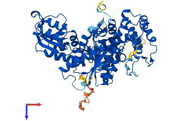 STXBP1 Protein (AA 1-594) (His tag)