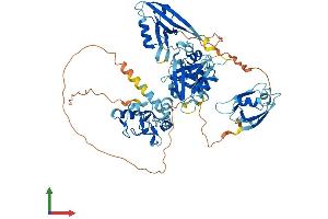 AlphaFold protein structure predicition of Mouse Recombinant Lnx2 Protein, UniprotID Q91XL2 (LNX2 Protein (AA 1-687) (His tag))