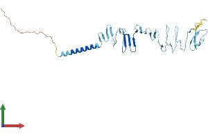 Protein Structure (PS) image for Sarcoglycan, gamma (35kDa Dystrophin-Associated Glycoprotein) (SGCG) (AA 1-291) protein (His tag) (ABIN7556750)