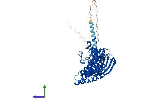AlphaFold protein structure predicition of Human Recombinant FKBP4 Protein, UniprotID Q02790 (FKBP4 Protein (AA 1-459) (His tag))