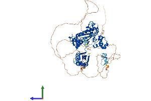 AlphaFold protein structure predicition of Mouse Recombinant Poli Protein, UniprotID Q6R3M4